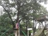 IMG_20210618_105035