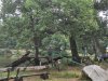 IMG_20210618_105849
