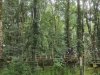 IMG_20210618_120545