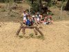 IMG_0338